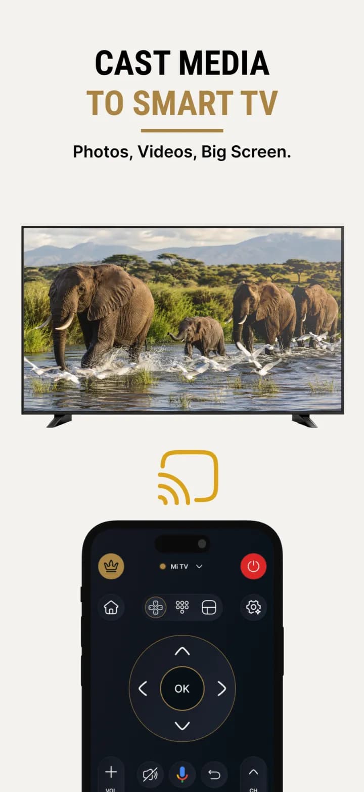 Casting photos and videos from iPhone to a smart TV with Universal TV Remote