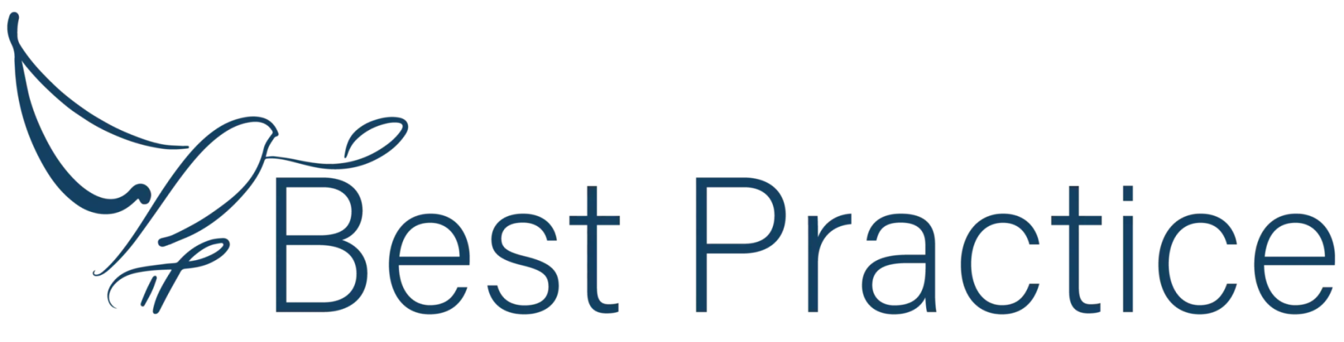 Best Practice Software